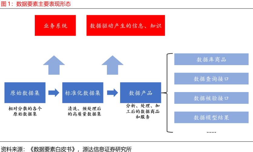 图1:数据要素主要表现形态.jpg